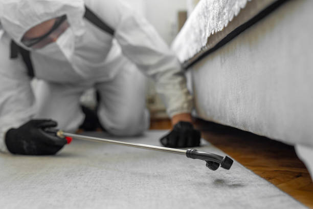 Professional Bed Bug Control technician working in East Jordan, MI